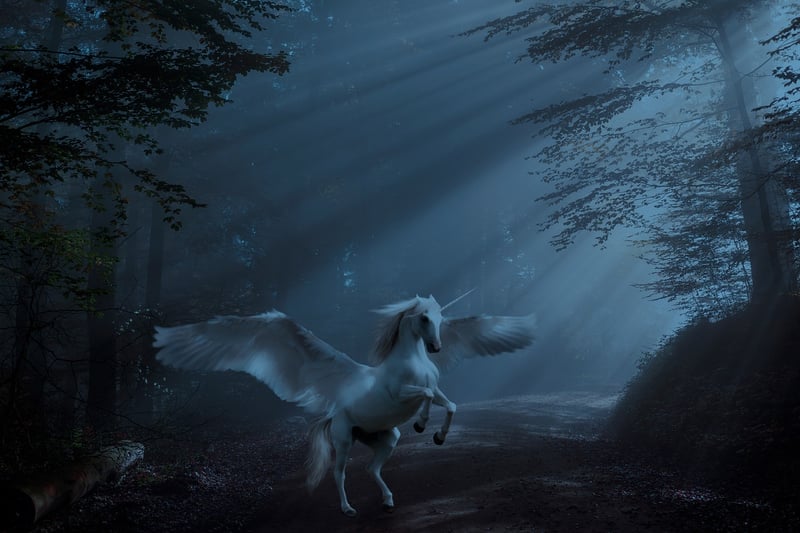 Unicorn Rides
